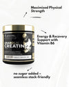 Kevin Levrone Signature Series Anabolic Creatine |Creatine Monohydrate